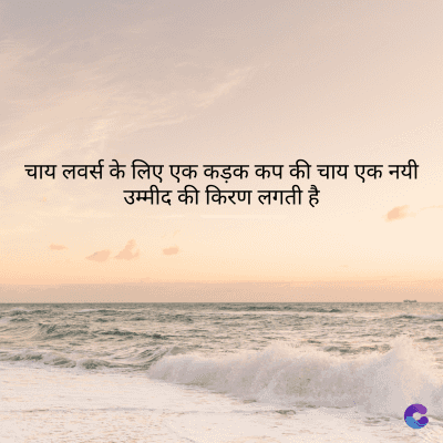 चाय लवर्स के लिए एक कड़क कप की चाय एक नयी
उम्मीद की किरण लगती है