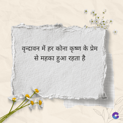 वृन्दावन में हर कोना कृष्ण के प्रेम
से महका हुआ रहता है