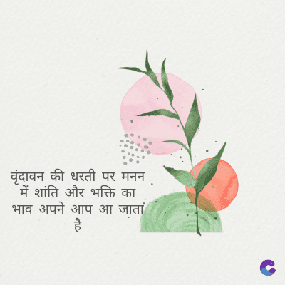 वृंदावन की धरती पर मनन
में शांति और भक्ति का
भाव अपने आप आ जाता
है